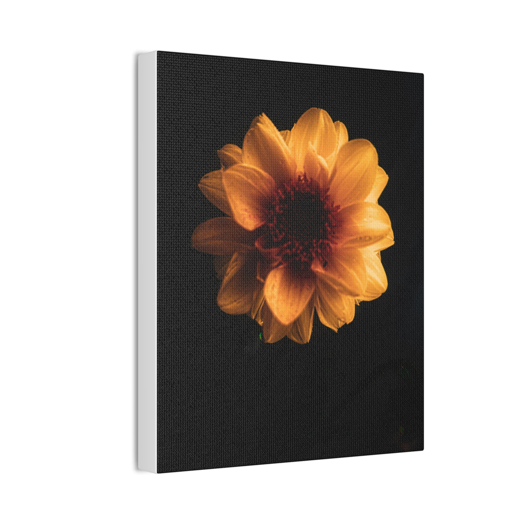 Golden Sunflower Canvas Print — Dramatic Dark Floral Wall Art