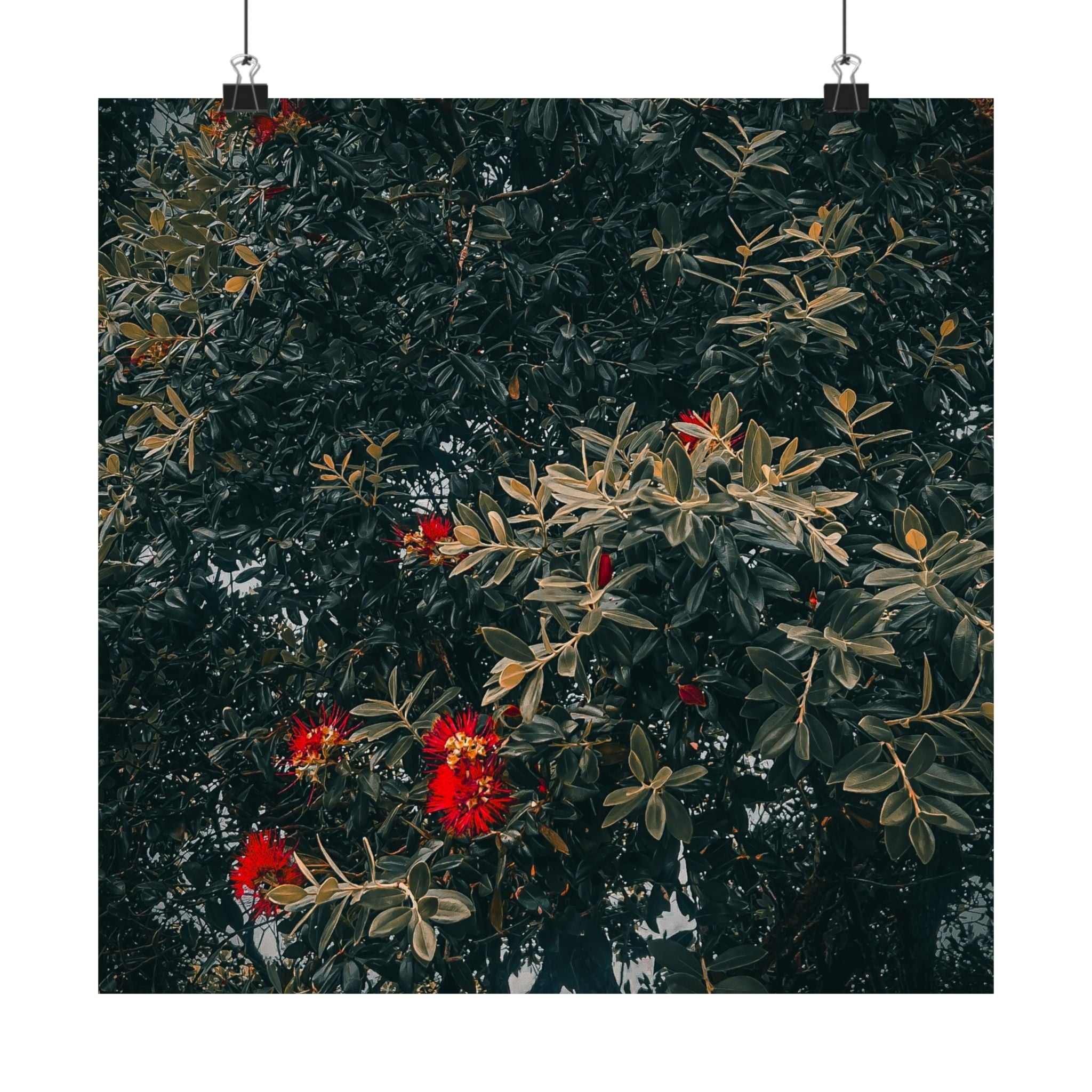 Botanical Wall Poster — Moody Floral Matte Vertical Print