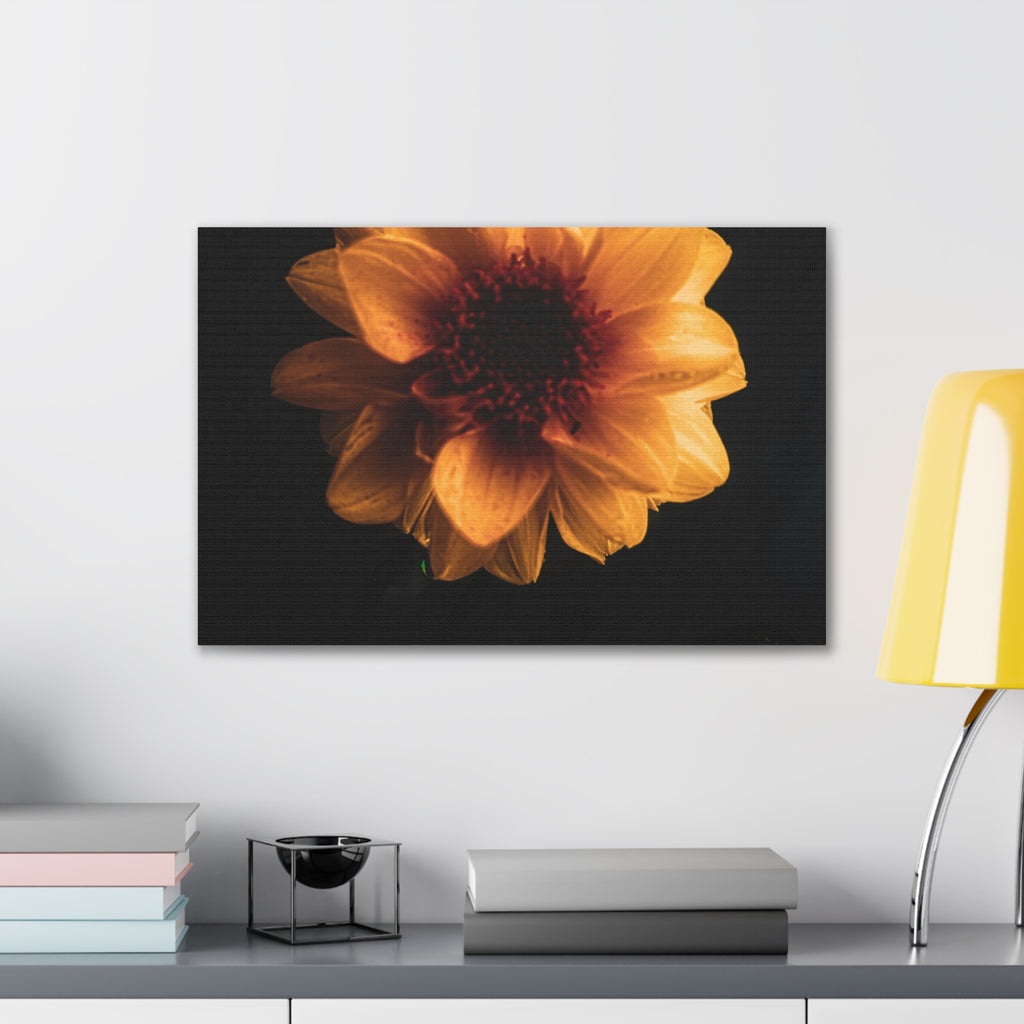 Golden Sunflower Canvas Print — Dramatic Dark Floral Wall Art