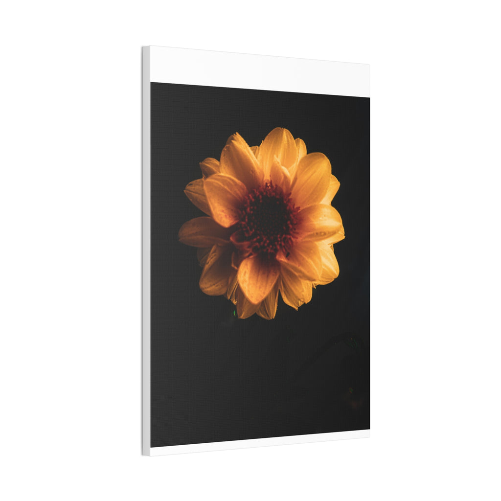 Golden Sunflower Canvas Print — Dramatic Dark Floral Wall Art