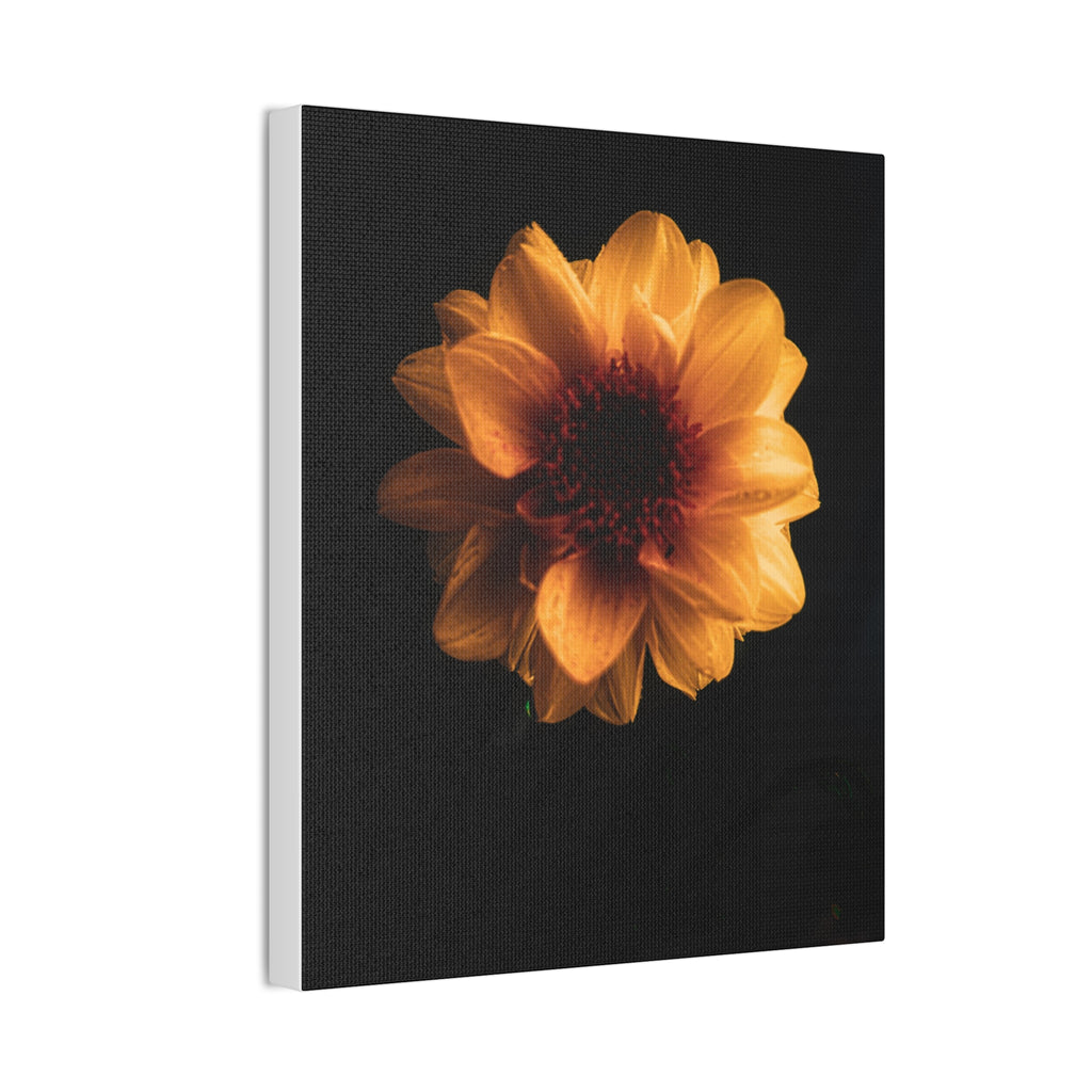 Golden Sunflower Canvas Print — Dramatic Dark Floral Wall Art