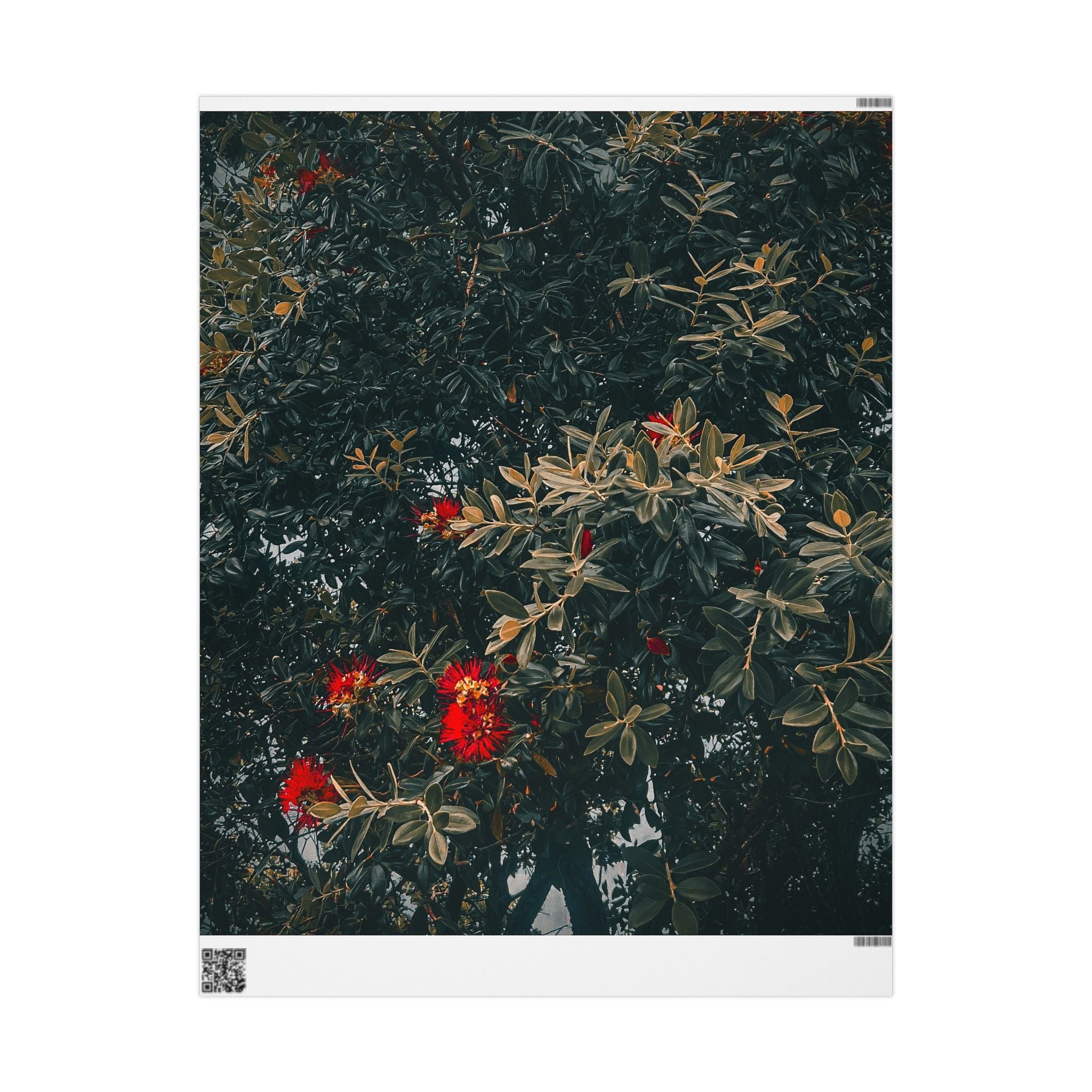 Wrapping Paper — Dark Floral Pōhutukawa Pattern Gift Wrap