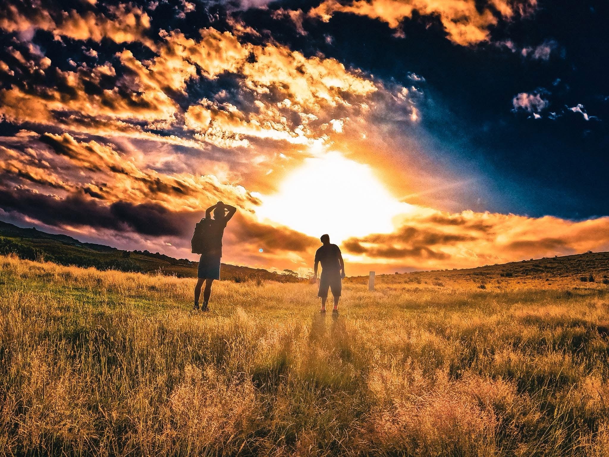 “Looking for the Ball”   Digital Download