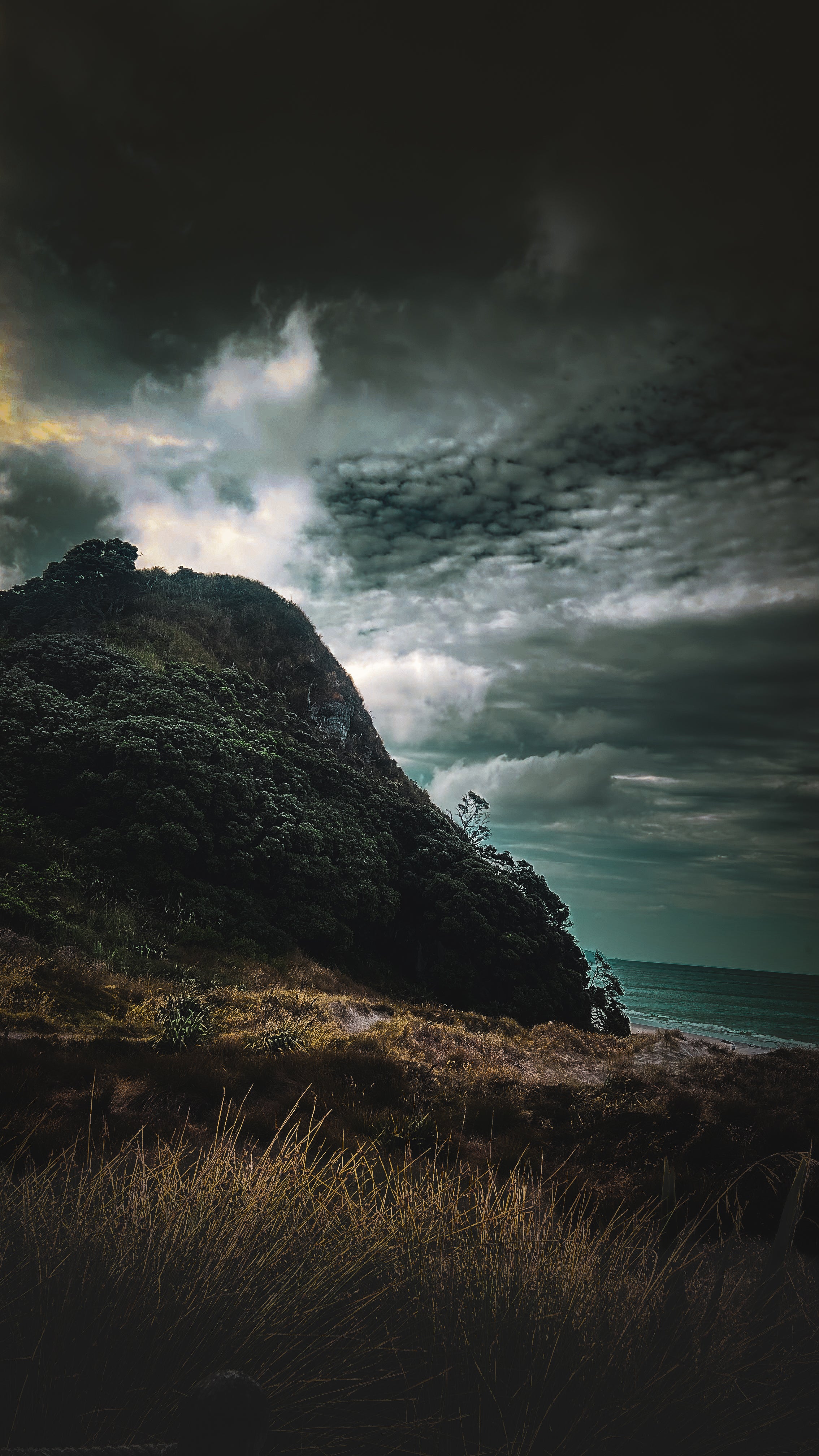 “The Hill”. Digital Download