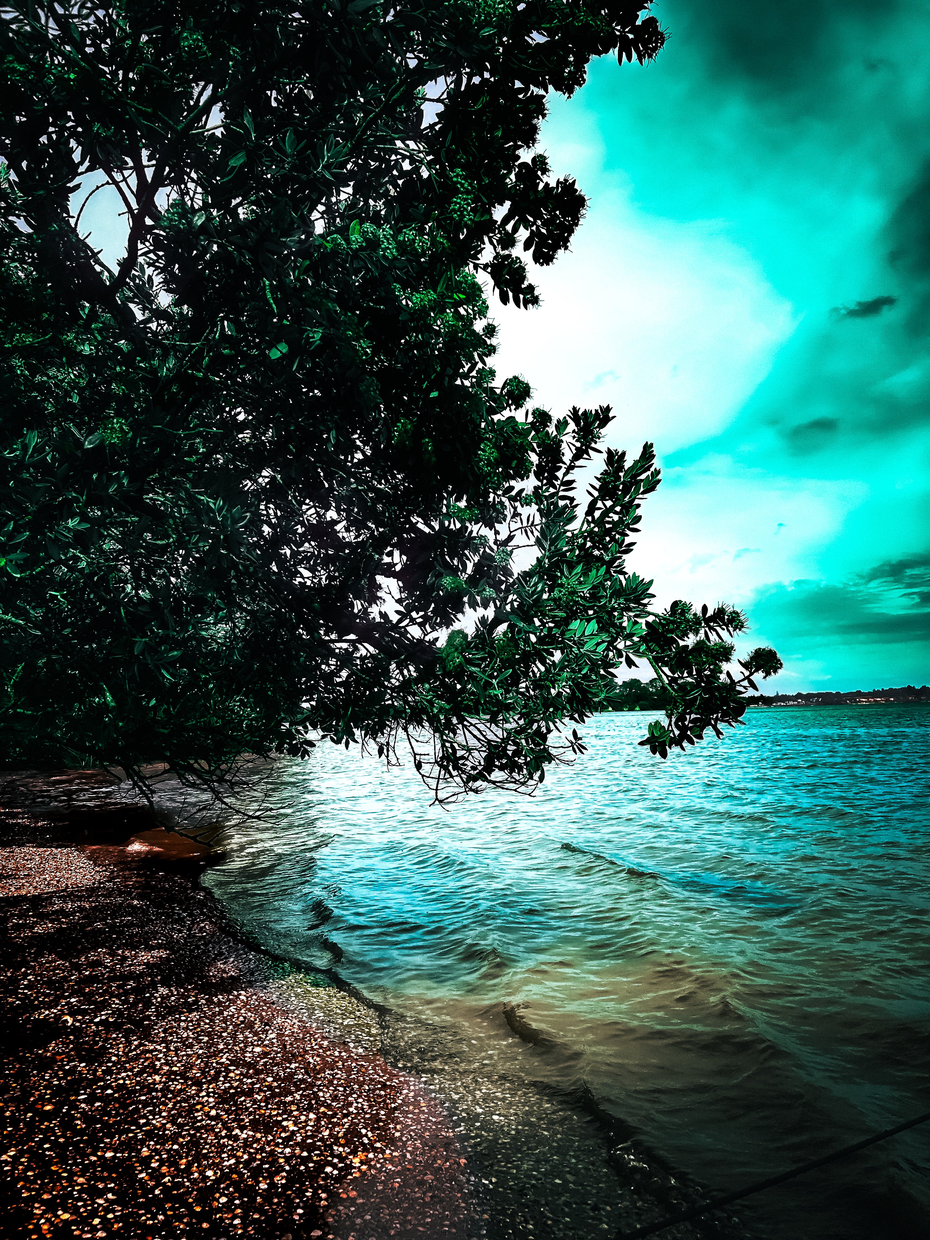 “Te Toro Beach”  Digital Download