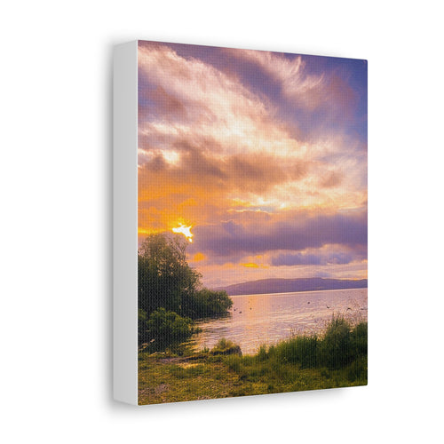 Bay of Plenty New Zealand Stretched Canvas