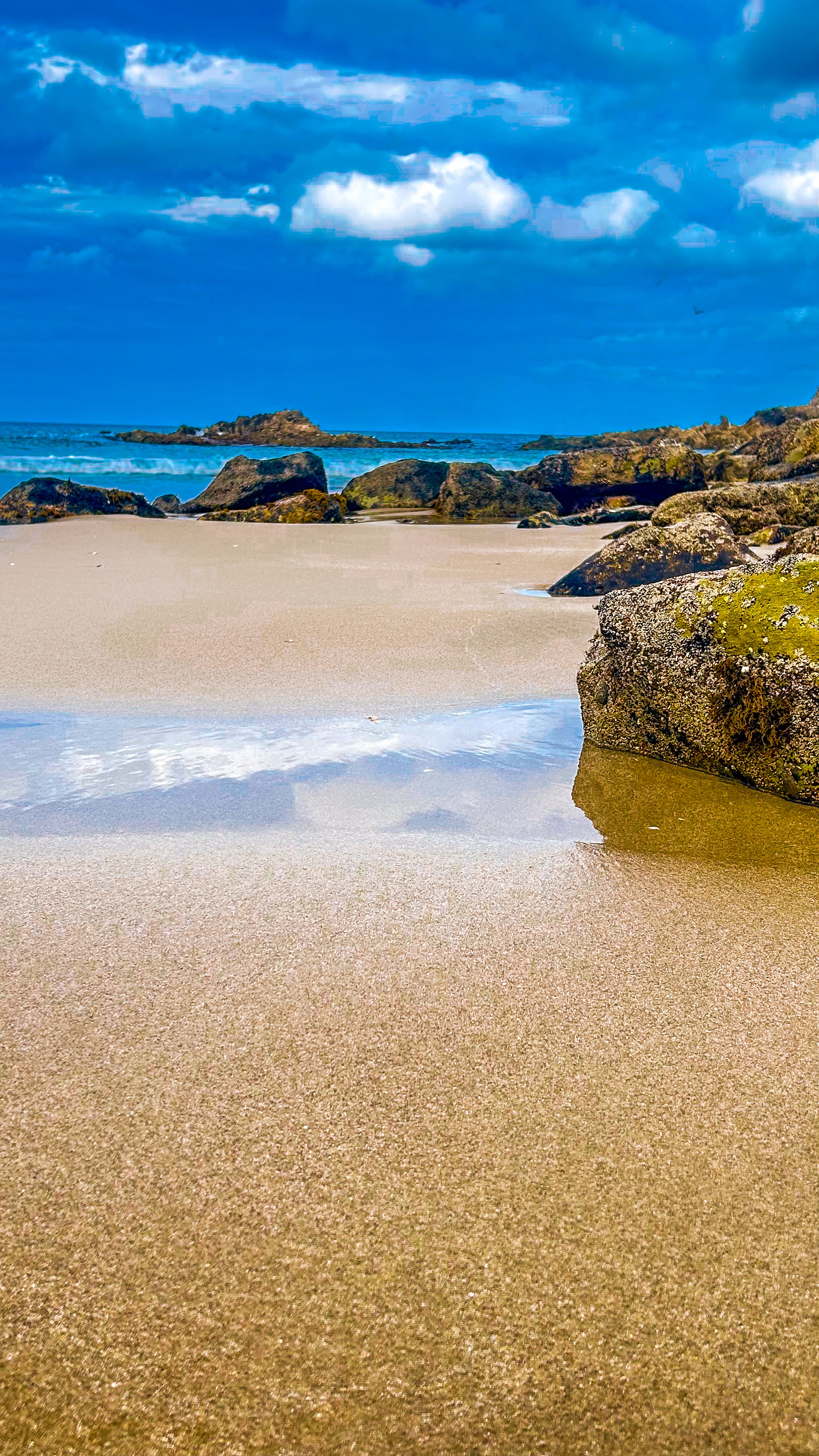 “Bright & Sunny”  Digital Download