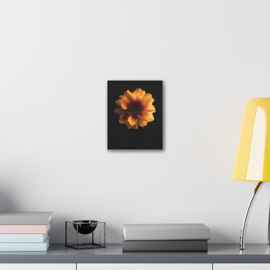 Golden Sunflower Canvas Print — Dramatic Dark Floral Wall Art