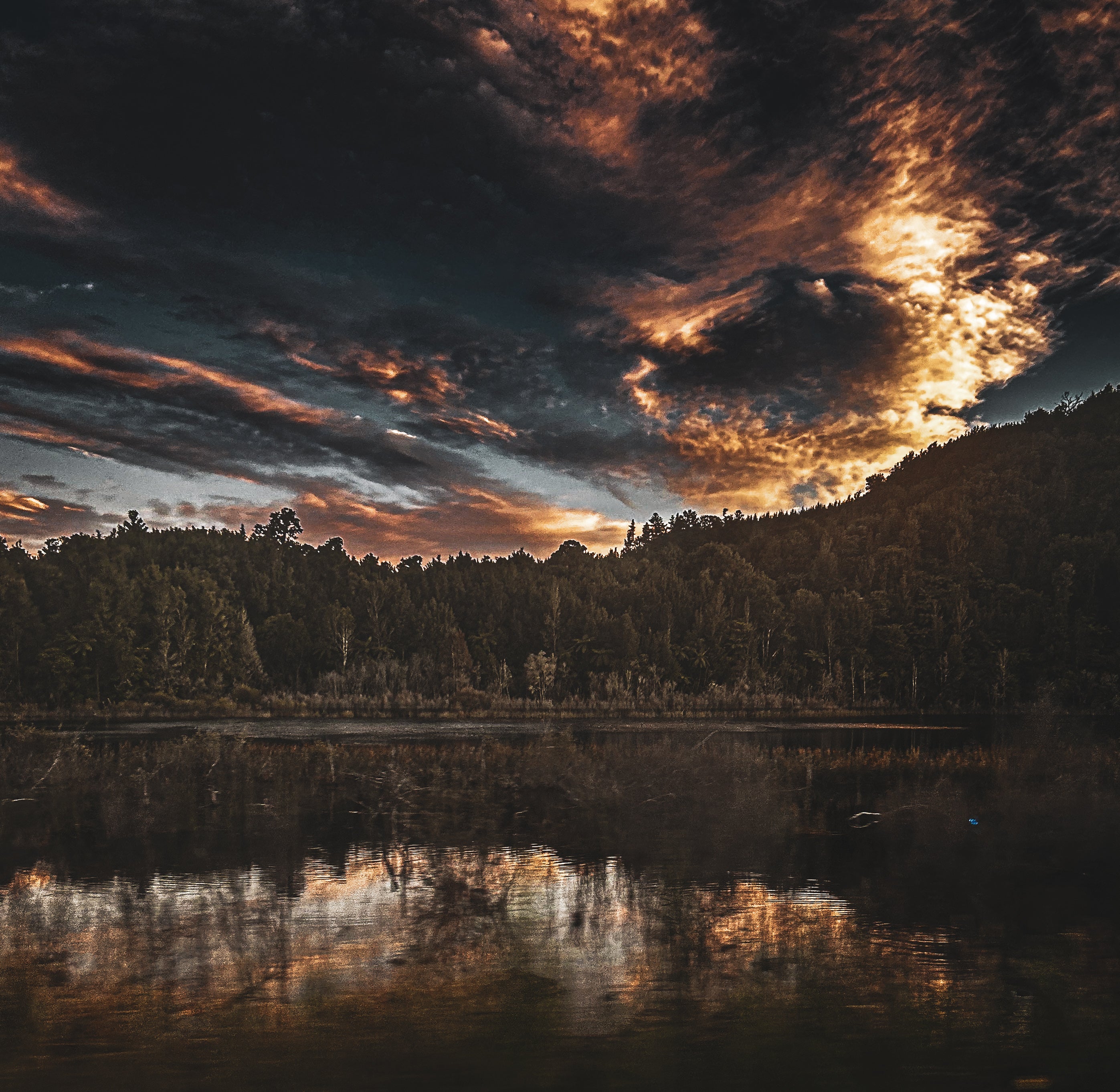 “Swamp”. Digital Download