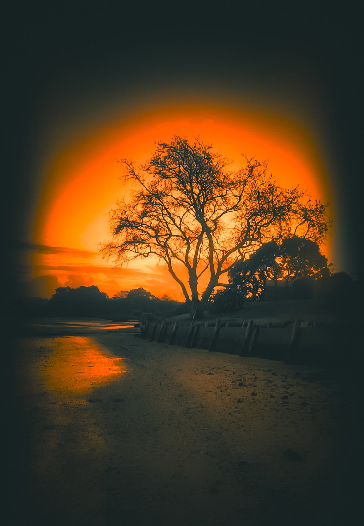 “Te toro”. Digital Download